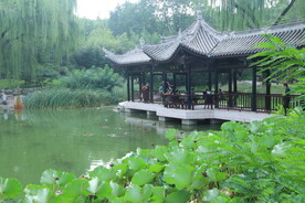 公园风景  