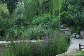 公园风景  