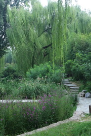 陶然亭风景  