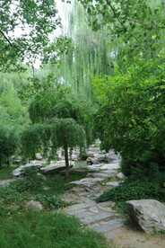 陶然亭风景 