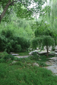 陶然亭风景 