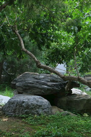 陶然亭风景  