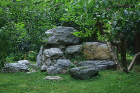 公园风景  