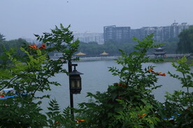 公园风景 