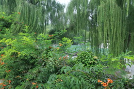 公园风景 