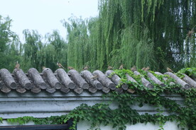 公园风景  