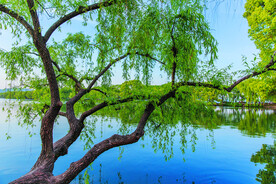 杭州西湖风景