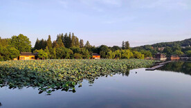 杭州西湖风景
