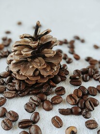 咖啡豆 