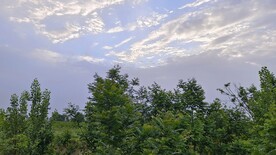 早晨
