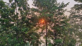 太阳