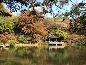 栖霞山秋天