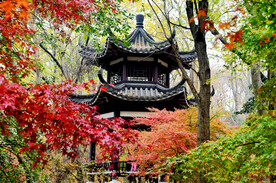 栖霞山秋天