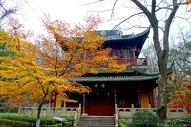 栖霞山秋天