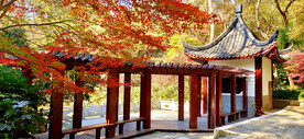 栖霞山秋天