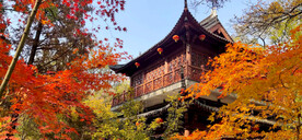 栖霞山秋天