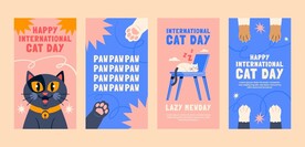 卡通猫