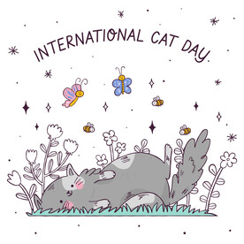 卡通猫