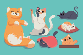 卡通猫