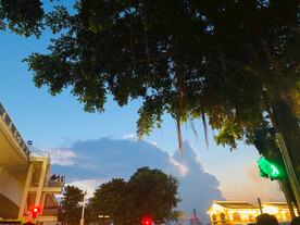 晚霞夜景