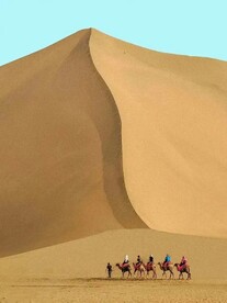 沙漠骆驼