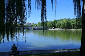 陶然亭风景 