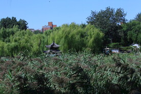 陶然亭风景 
