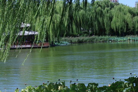 陶然亭风景 