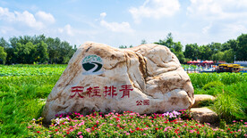 沈阳天柱排青公园石刻