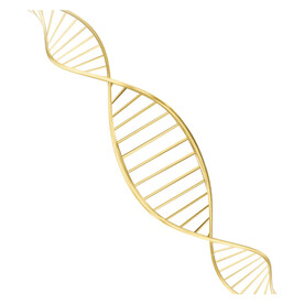 分子模型