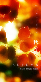 秋分