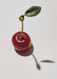 樱桃