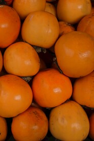 橙子