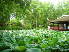 福州西湖公园