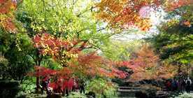 上海秋霞圃