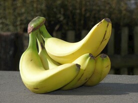 香蕉