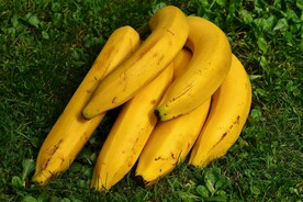 香蕉 