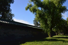 公园风景 