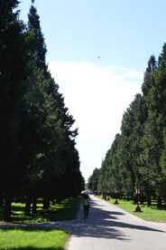 公园风景 