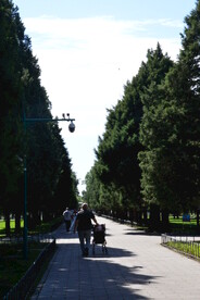 公园风景