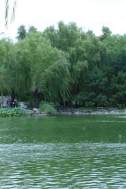 公园风景 