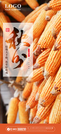 秋分