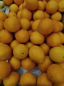 鲜橙