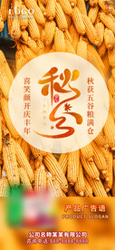 秋分