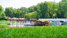 沈阳天柱排青公园龙潭荷花湖西码