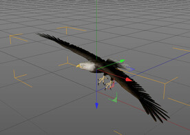 C4D模型老鹰