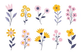 卡通花