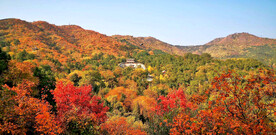 北京香山公园