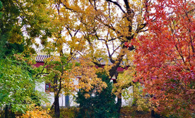 北京香山公园
