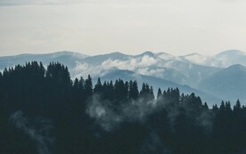 森林系列 